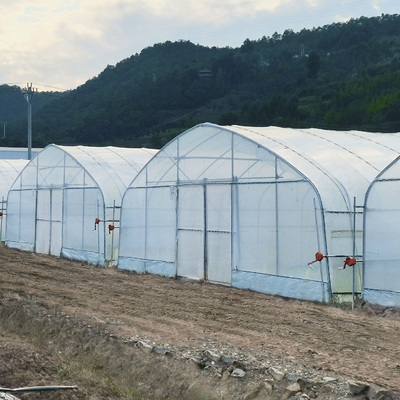 팔려고 내놓 수경법 시스템 단일 폭 플라스틱 박막 농업 온실가스 건설